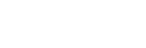 logo-bluecity-1