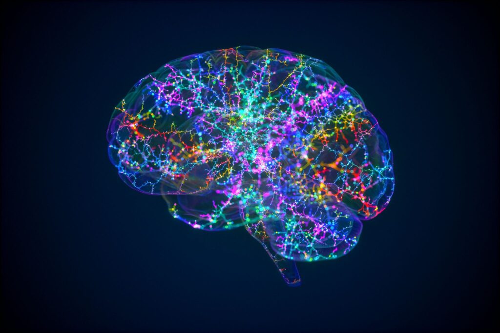 A brain image with it's connections fully activated. 
